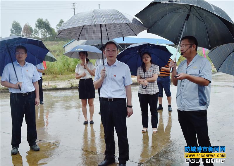 8月4日,市委书记,市人大常委会主任金湘军冒雨到港口区,防城区开展