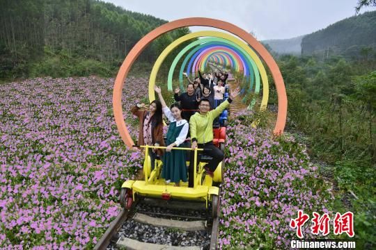 ��ú���������������� ������ɽ���칤ҵ����ʾ����