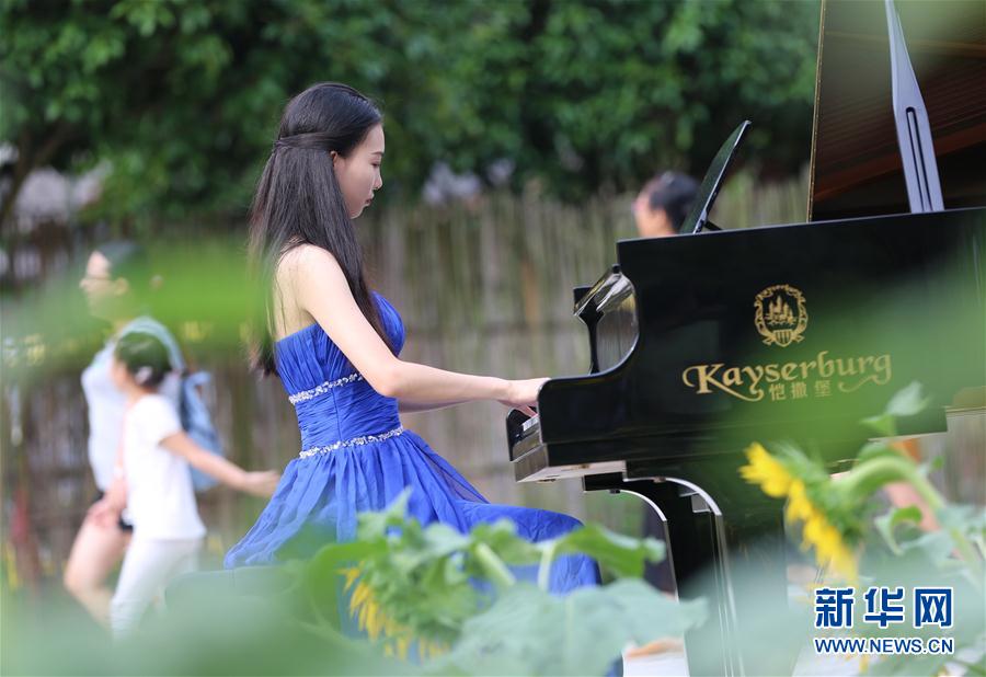 湖南张家界:花海田间飘琴韵(组图(6)