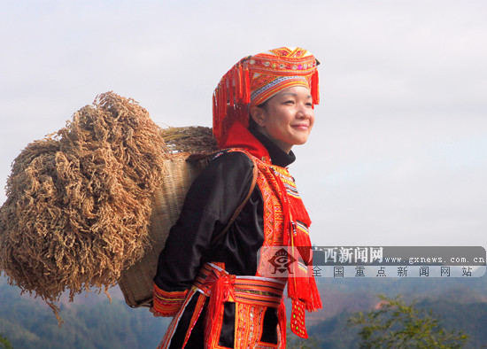 稻穀喜獲大豐收,農家人人樂開懷——瑤族女子在稻穀豐收之際喜悅的