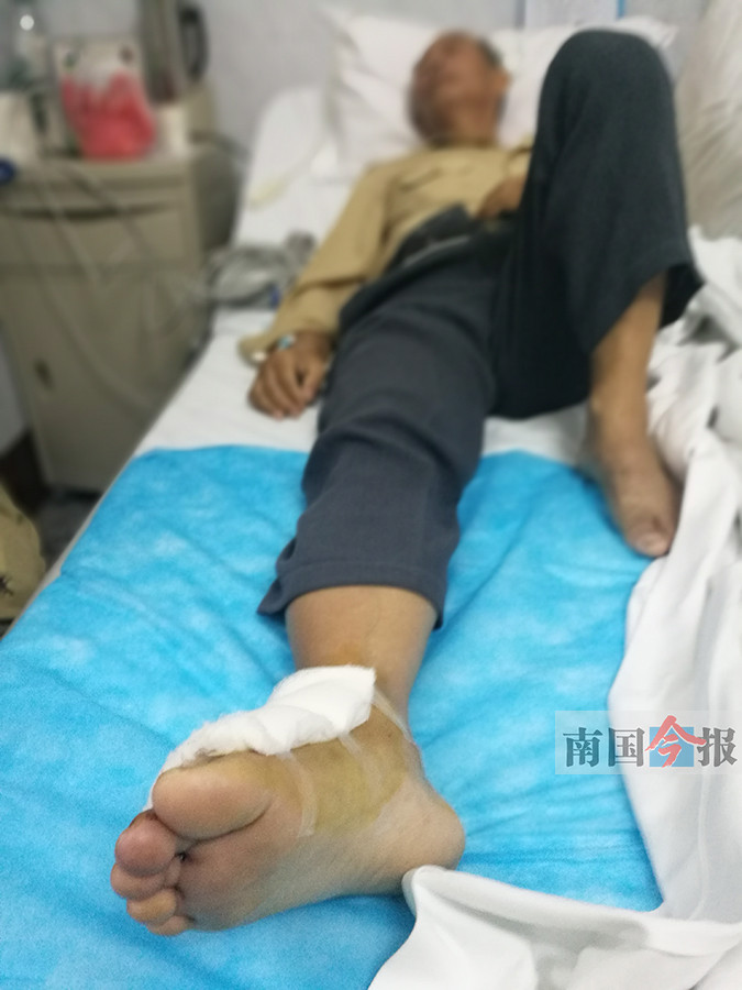老汉在家躺着看电视被眼镜蛇咬伤 消防员连夜捉蛇 (2)