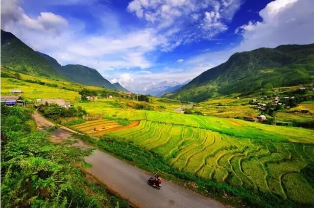 【魅力之城】十里茶香,越南太原省翩翩而来