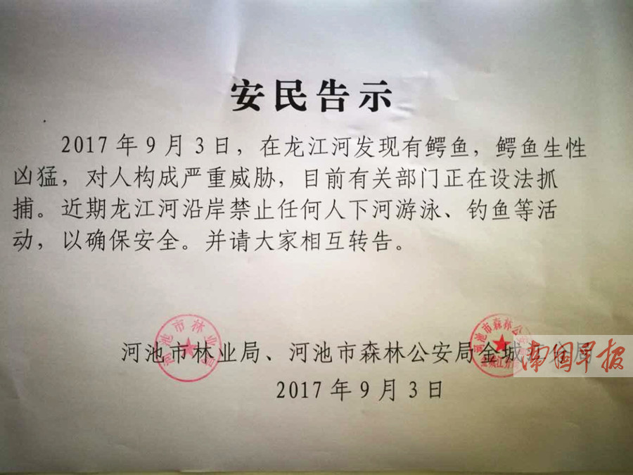 有关部门发出的安民告示.高东风摄