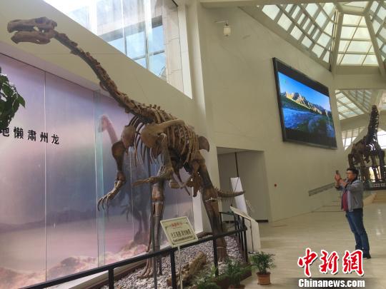 恐龙真骨化石引游客"穿越" (3)