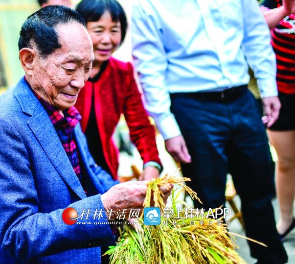 拿着稻穗饱满的再生稻,袁隆平笑容满面,多年的梦实现了.