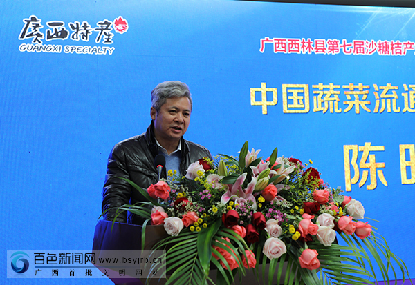 会上,西林县县长欧阳可爽发表致辞,自治区商务厅运行处副处长杨颜卉