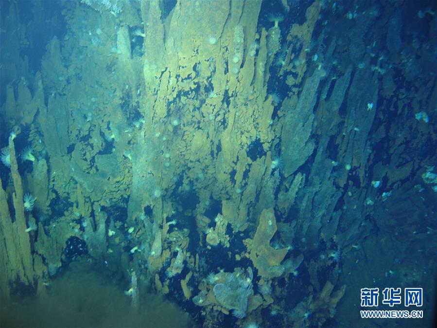 中国科学院海洋研究所研究员张鑫说,海底热液区的成因在于海水从地壳