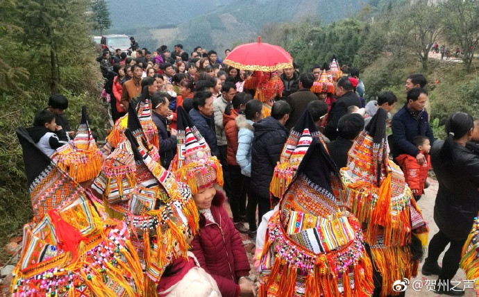 不为外人所知道的贺州过山瑶婚礼-广西新闻网
