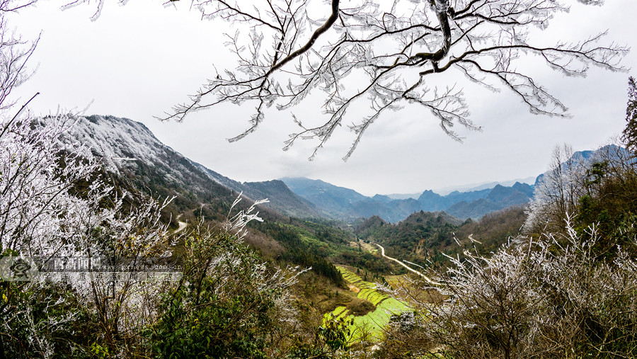 田林县岑王老山现雪景广西新闻网通讯员 蓝庆侃 李耀斌 李春笋供图