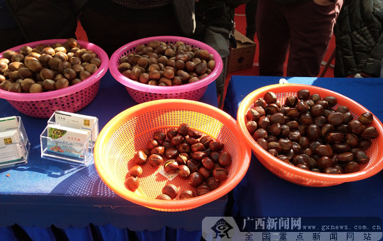 东兰县生态文化旅游推介走进南宁 特色非遗唱主角