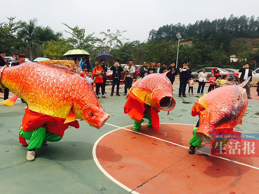 图片信息:鲤鱼舞