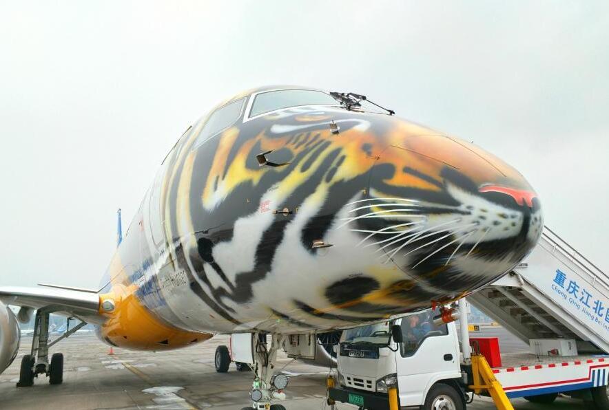 巴西大老虎飞机降落重庆