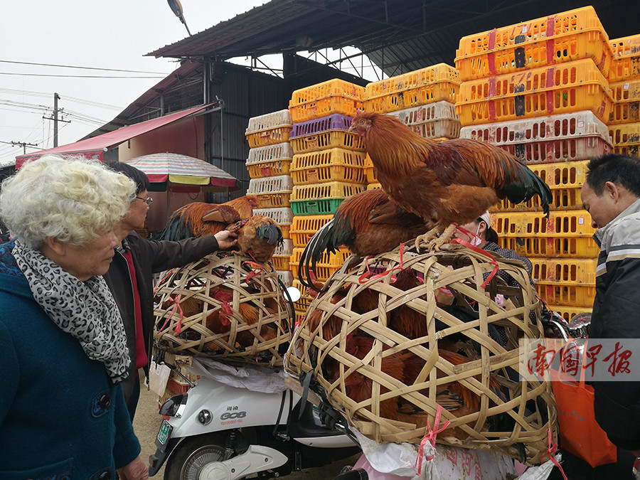 2月14日焦点图南宁5座立交桥将施工注意绕行1229