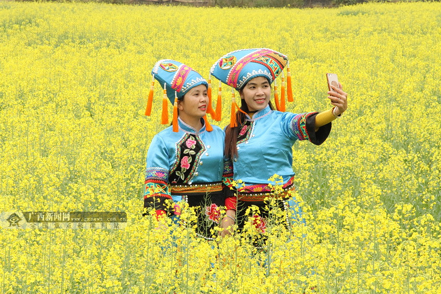 W(wng)j(lu)ýwD(zhun)ġ|mmꖴ񱧈Fl(f)չΘI(y)