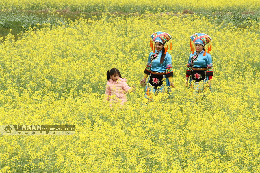 W(wng)j(lu)ýwD(zhun)ġ|mmꖴ񱧈F(tun)l(f)չΘI(y)