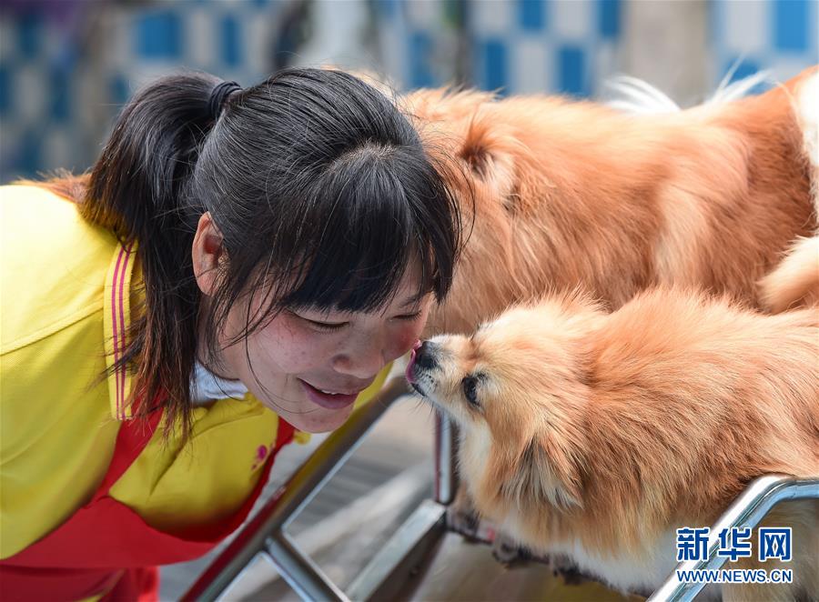 人和博美犬的合照图片