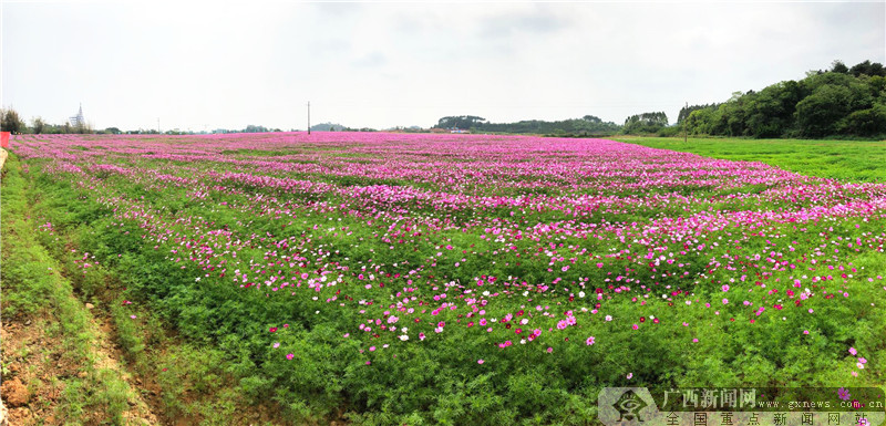 壺@Gό@@500r
