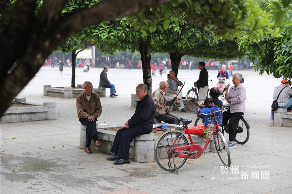 灵峰广场是中老年人钟爱的休闲娱乐场所.