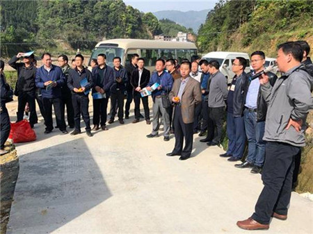 龙胜县吴永合县长深入产业扶贫示范点现场办公-广西新闻网