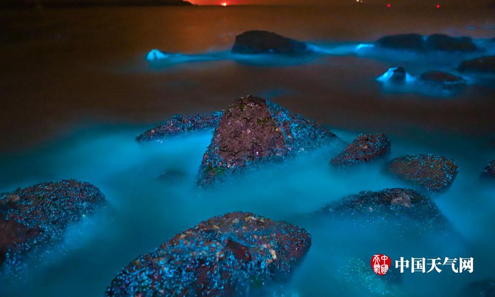 福建平潭"蓝眼泪" 美若星辰的荧光海