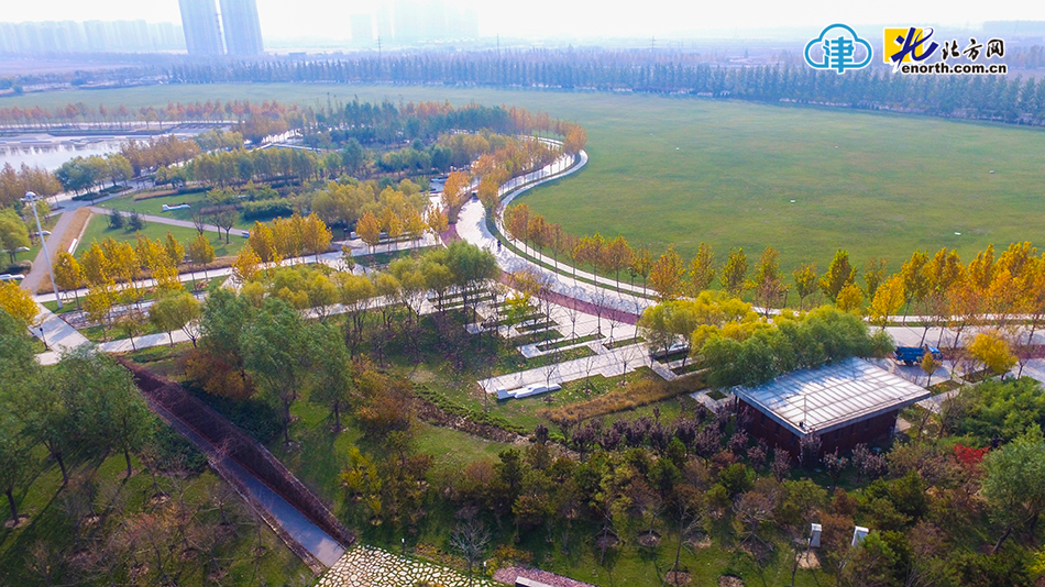 鸟瞰武清商务区公园秋景景色宜人16