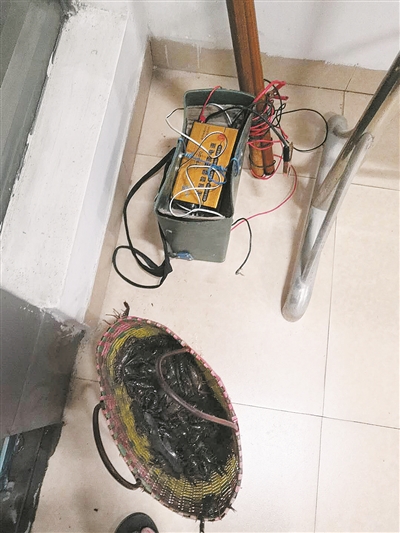 作案工具電魚機與偷竊得來的小龍蝦