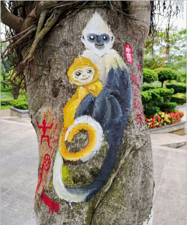 崇左城市干道绿化树上的白头叶猴手绘