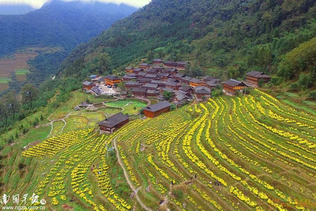 痛心!龙胜白面瑶寨凌晨突发大火丨是首批中国少数民族特色村寨