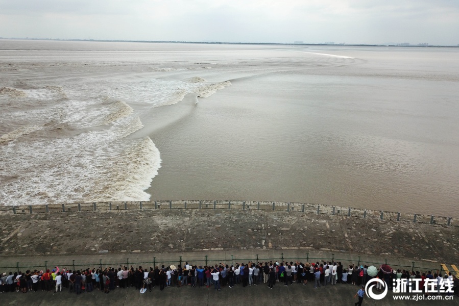 海宁:钱塘江迎来最佳观潮期 (2)