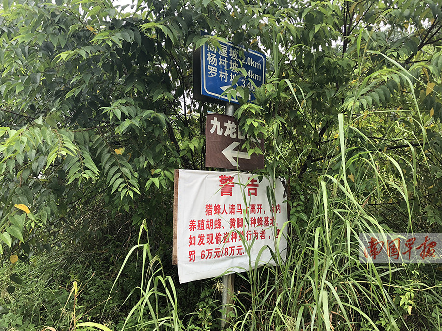 马蜂窝价值 9eab6766a607212c07939ebc0d3c4256.jpg