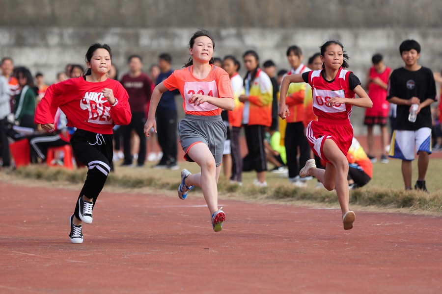 柳城县中小学生田径运动会精彩纷呈(图)