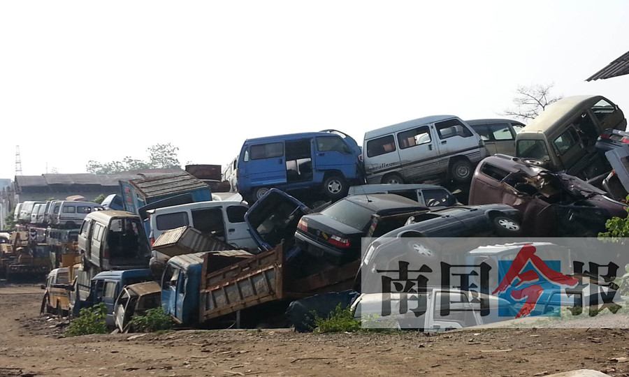回收公司集中堆积的汽车将被拆解处理.这里才是"僵尸车"的归属地.