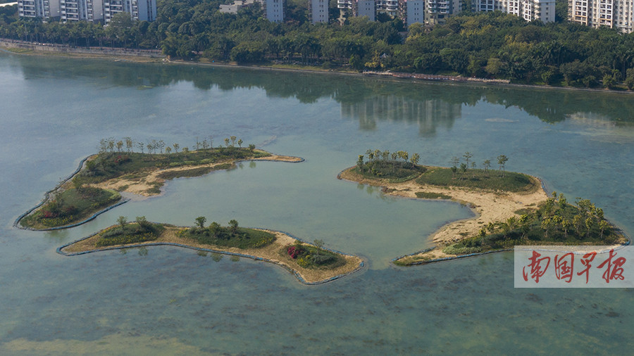 南宁市南湖公园水质改善项目完工 建四座生态鸟岛