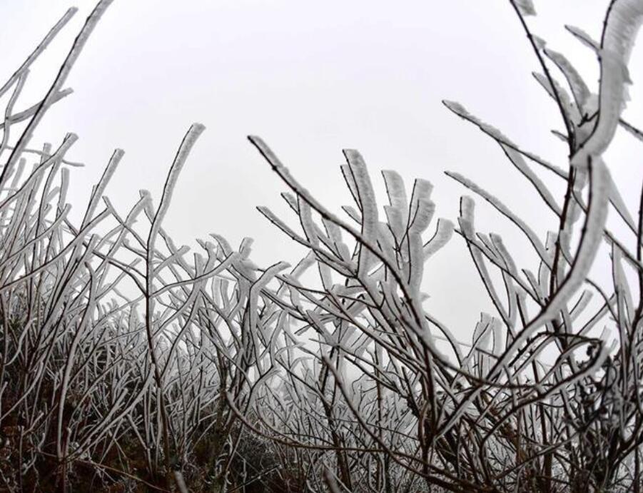 广西：寒潮袭来