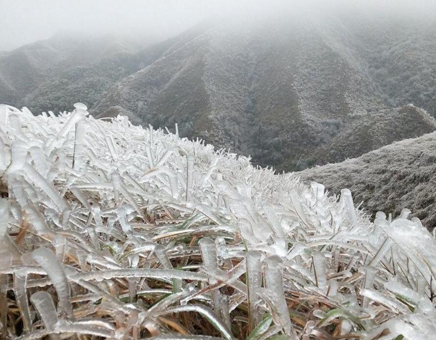 高清组图：强冷空气带来速冻 广西环江现北国风光