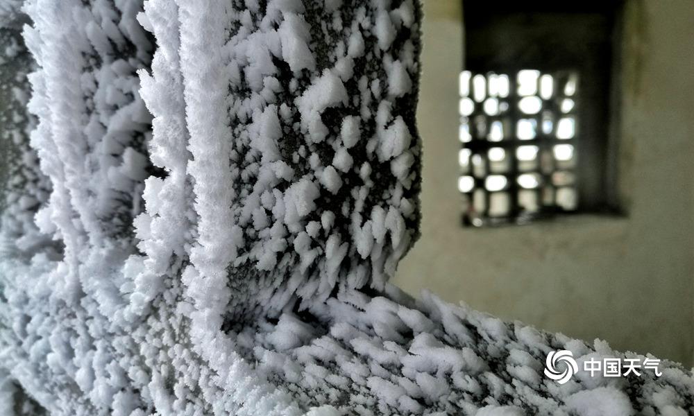 高清组图:百色出现冰冻雨雪天气 草木冻成冰柱