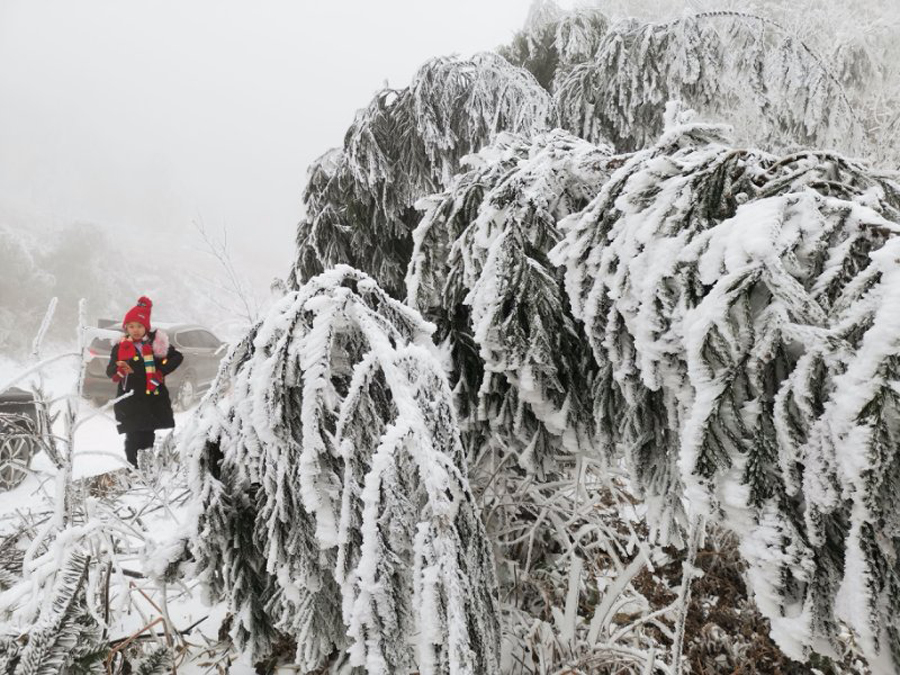 广西景区“两重天”:有的遇冷则冷 有的遇冷反热