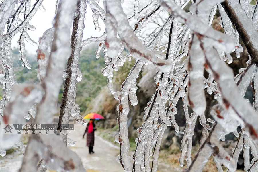 乐业雪景图片