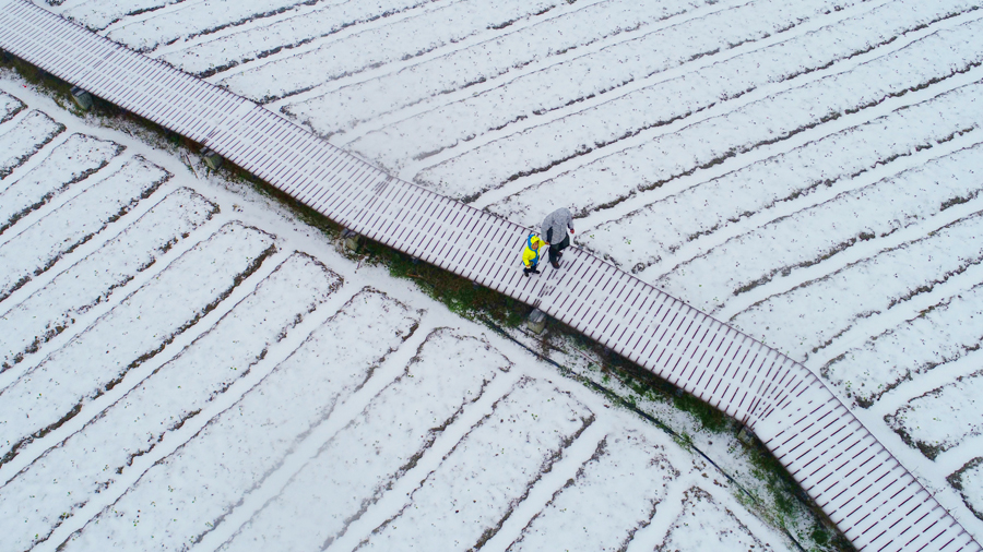 高清图集：三江侗寨雪景美如画
