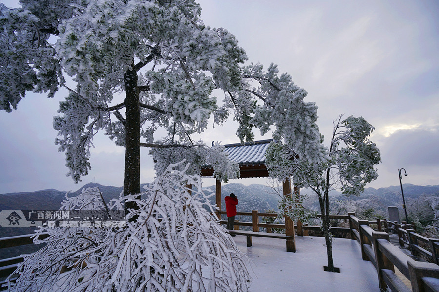 乐业雪景图片