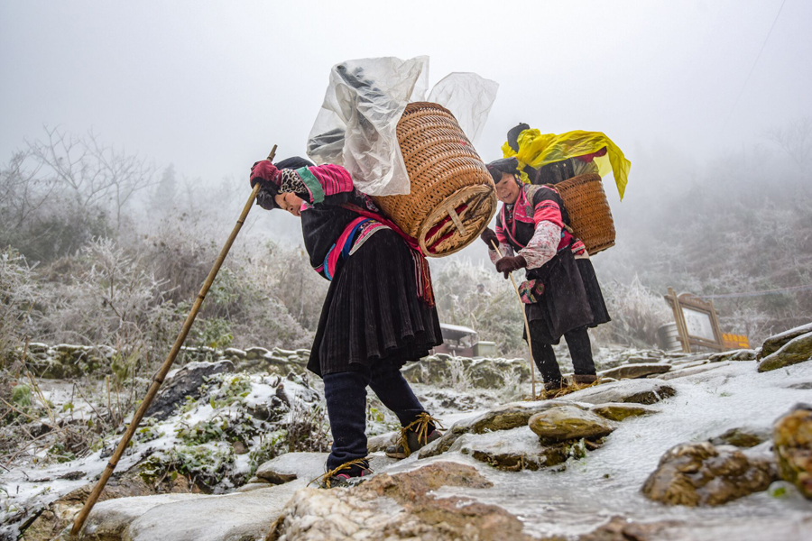 六旬红瑶背包客负重数十斤 雨雪天走山路如履平地