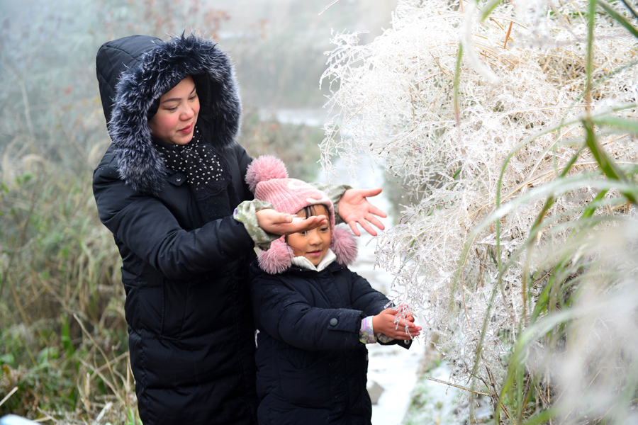 龙胜龙脊梯田迎来降雪 白雪装点如诗如画(组图)