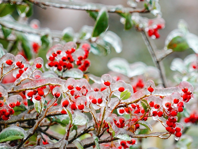 高清：桂西之巅岑王老山银装素裹 冰凌美景醉人