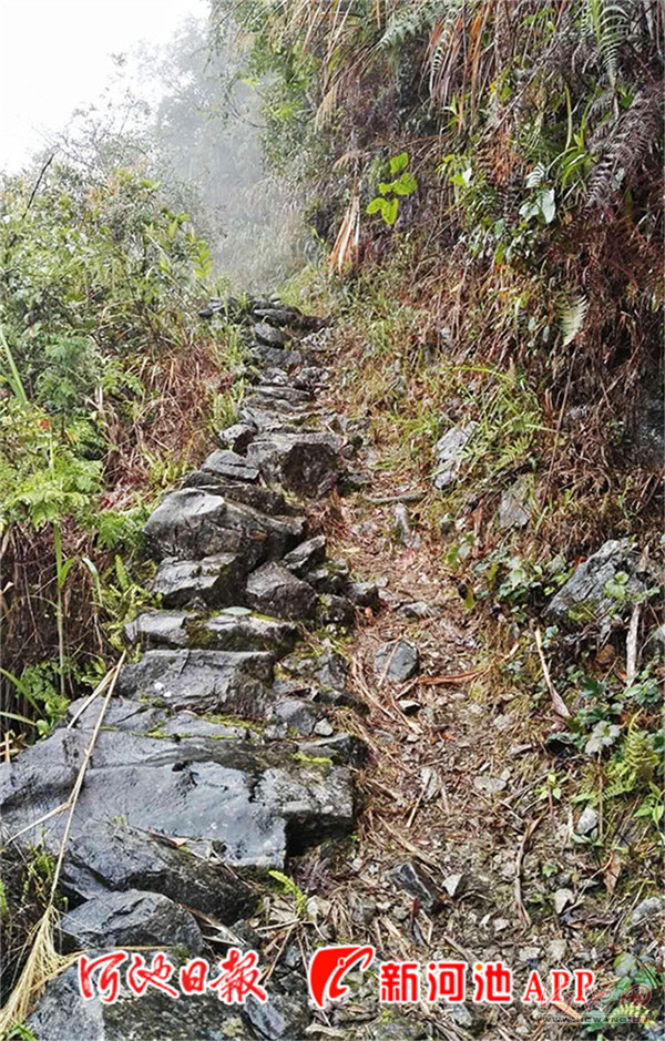图为原瑶洞崎岖的山路. 李宏霞 摄