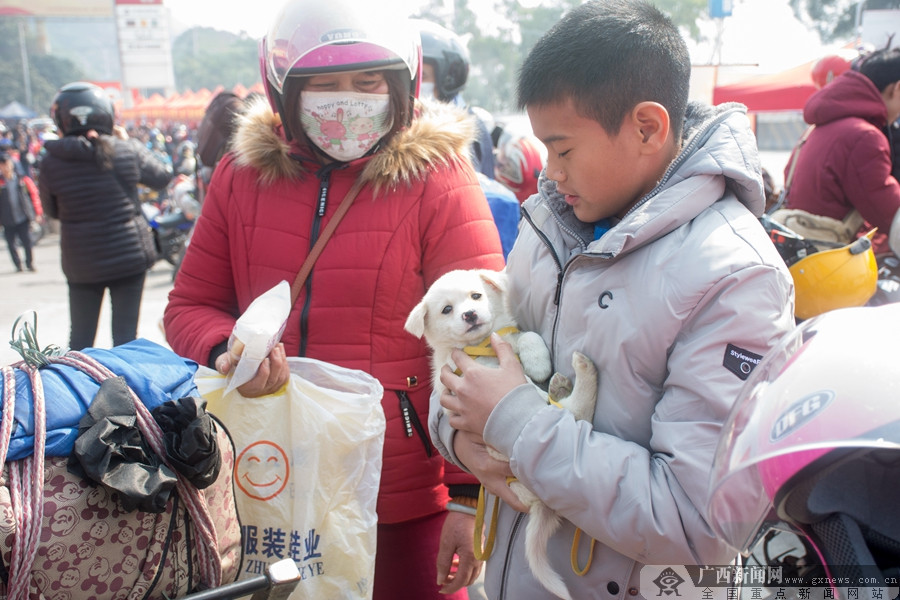 ´߻㡤ǿںϱĦг;ġů