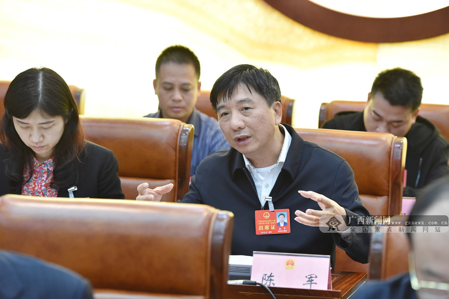 人大代表陈军就创新监督提出建议