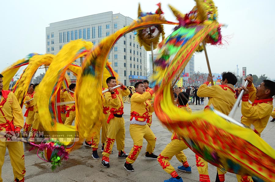 贺州市平桂区龙狮起舞闹新春 场面热闹非凡(图)