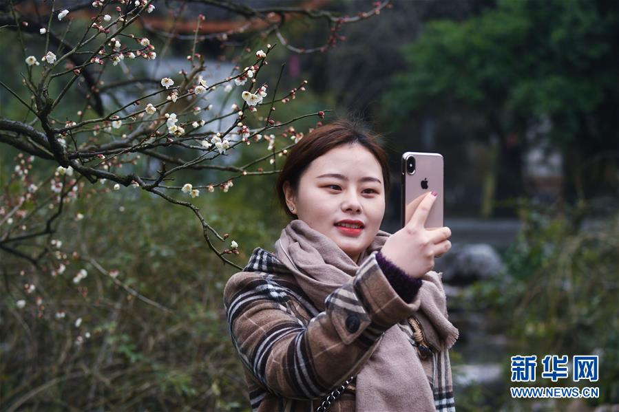 2月23日,一名游客在超山景区内自拍. 新华社记者 徐昱 摄