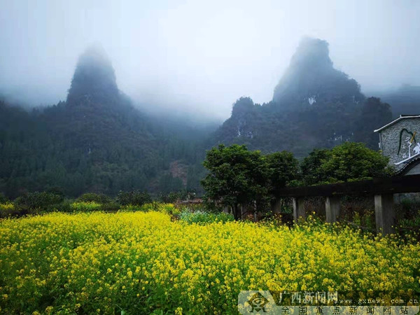 广西阳朔"醉美"徒步线路修通 浪石村到兴坪等你来