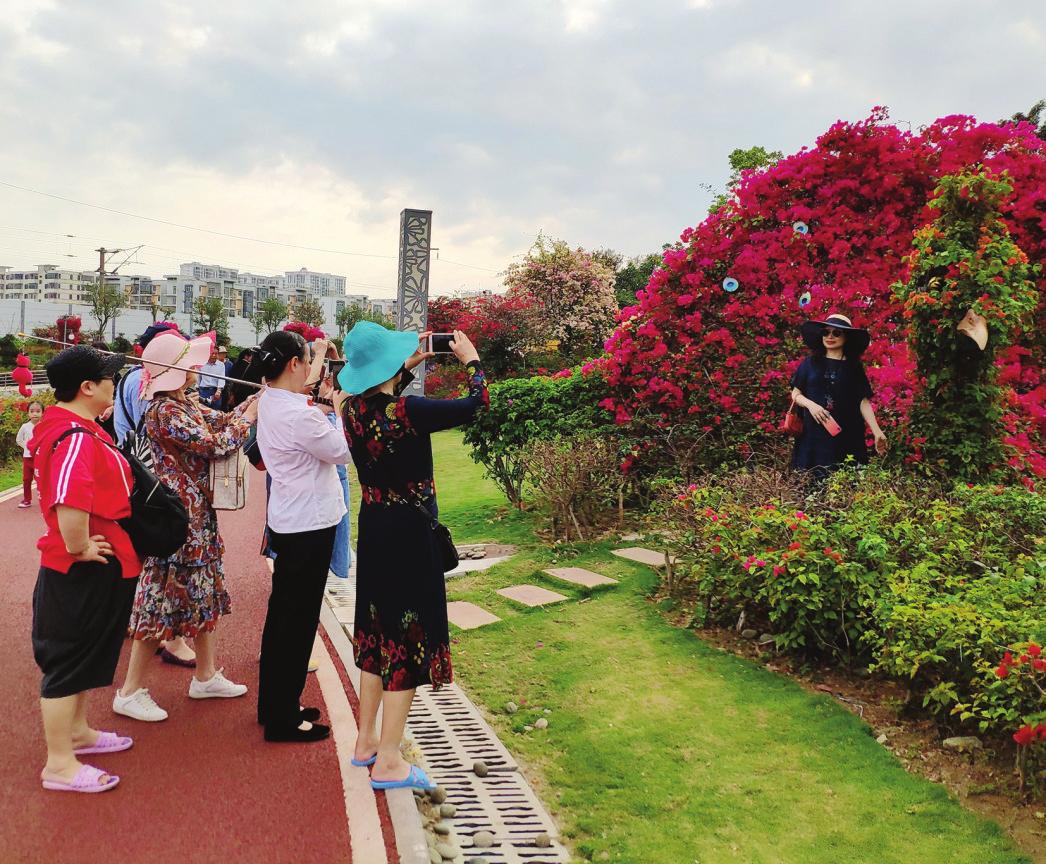 北海市花公园吸引游客